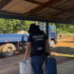 Polícia Civil deflagra operação contra furto de gado e comércio ilegal de combustíveis e agrotóxicos em Araguatins