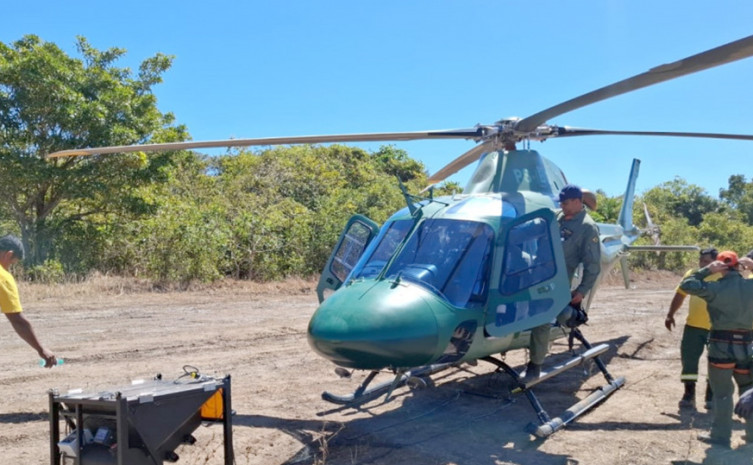 Naturatins participa de operação de manejo integrado do fogo no Parque Nacional do Araguaia para prevenir grandes incêndios