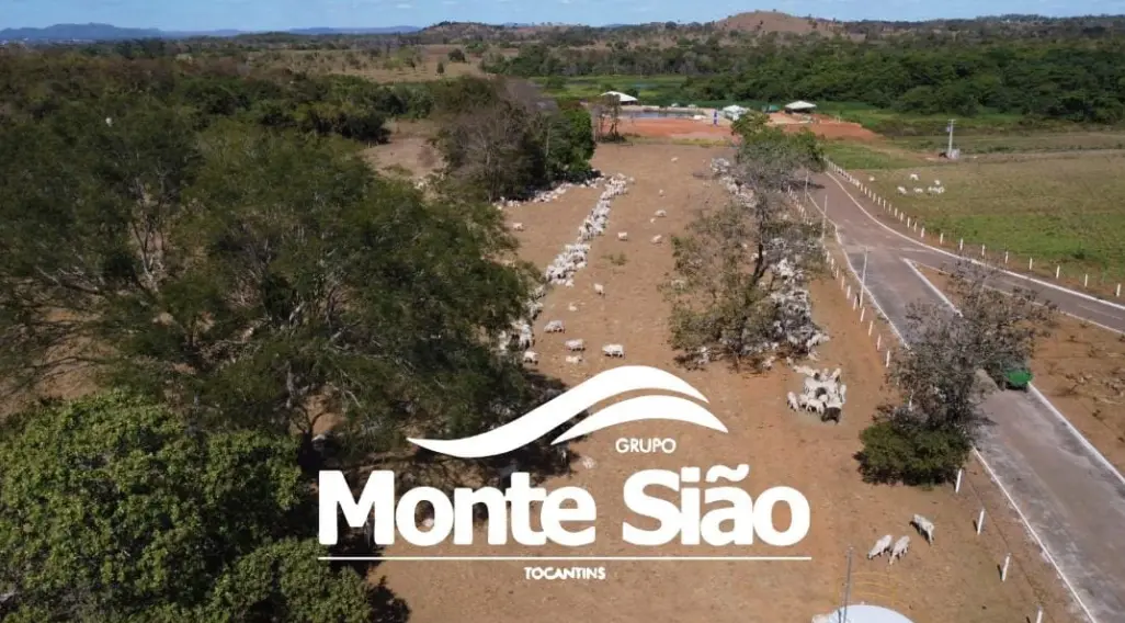 Grupo Monte Sião avança nos bastidores e amplia influência política em Palmas e no Tocantins
