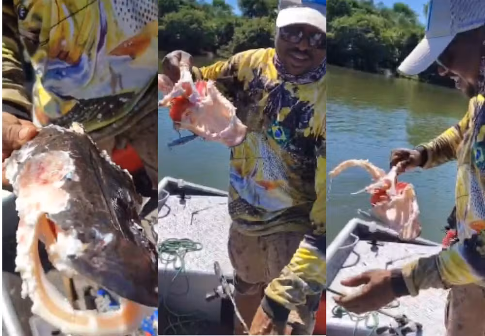 Casal de pescadores fisga peixe em Lagoa da Confusão, mas retira da água apenas a carcaça: "As piranhas devoraram todinho"