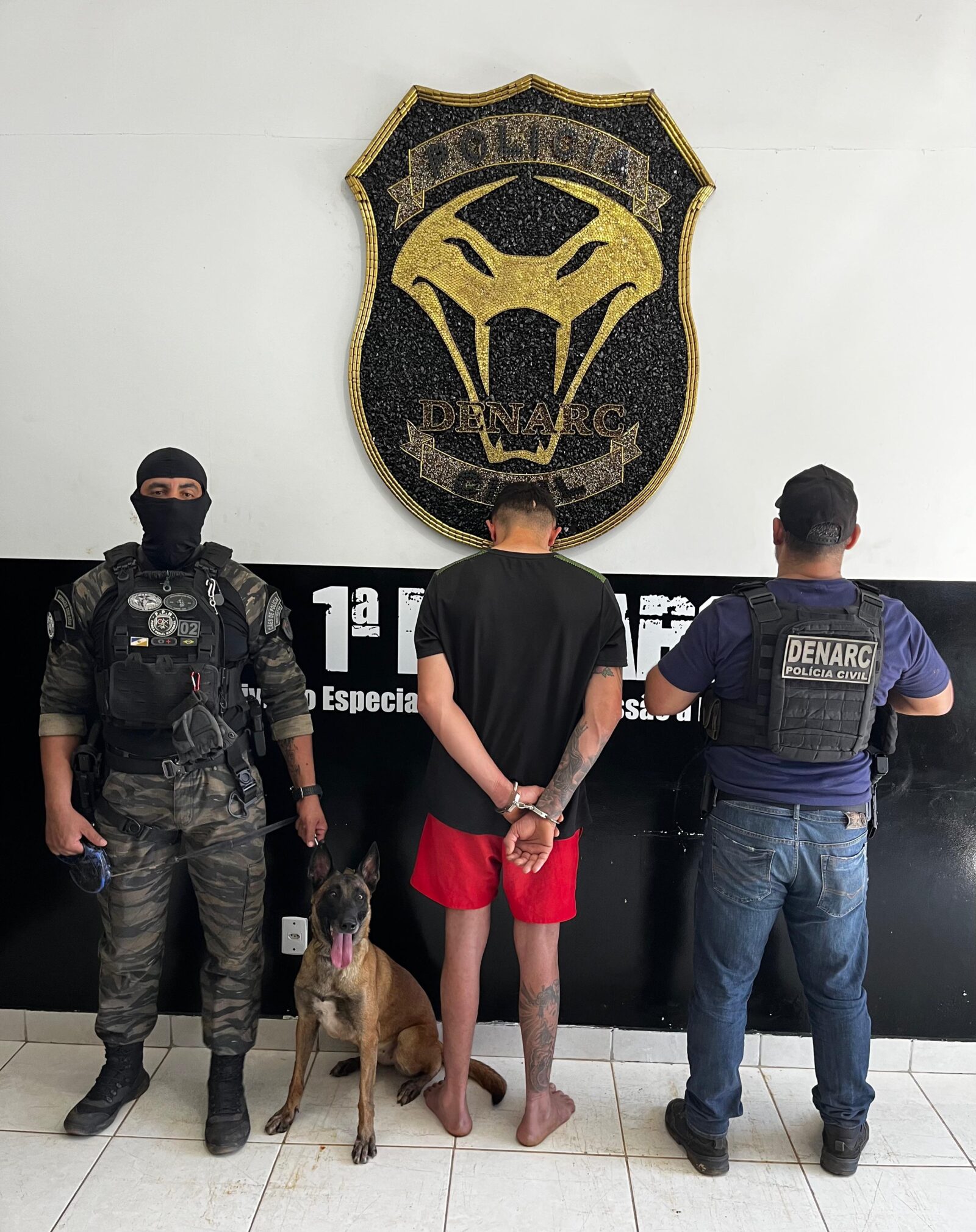 Polícia Civil prende traficante e apreende arma durante operação em Palmas