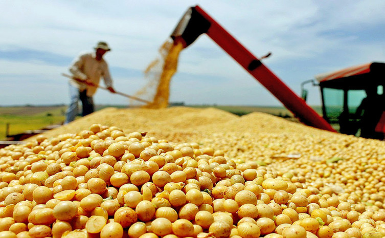 Tocantins projeta crescimento recorde na produção de grãos em 2024/2025