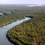 Governo do Tocantins promove Seminário de Floresta Plantada em Palmas