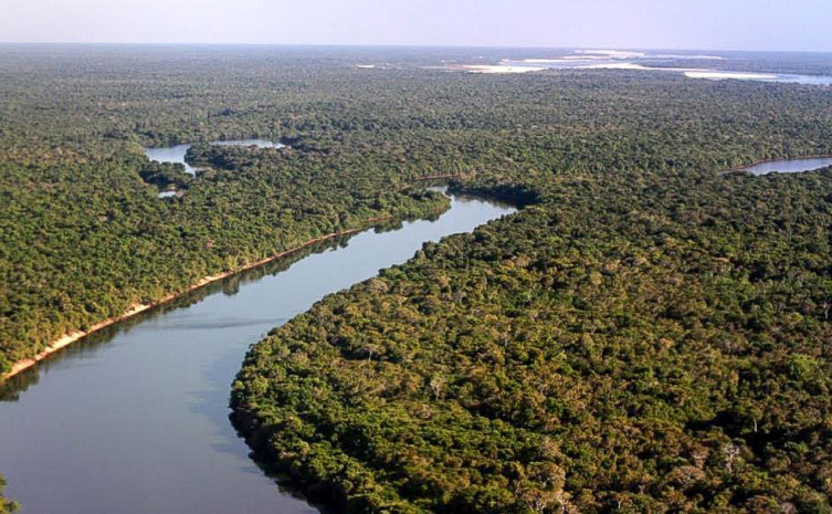 Governo do Tocantins promove Seminário de Floresta Plantada em Palmas