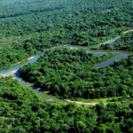 Governo do Tocantins realiza ações de vigilância contra febre aftosa e influenza aviária na Ilha do Bananal