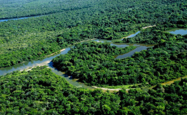 Governo do Tocantins realiza ações de vigilância contra febre aftosa e influenza aviária na Ilha do Bananal
