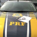 PRF prende cinco homens com mandados de prisão em aberto durante o fim de semana no Tocantins