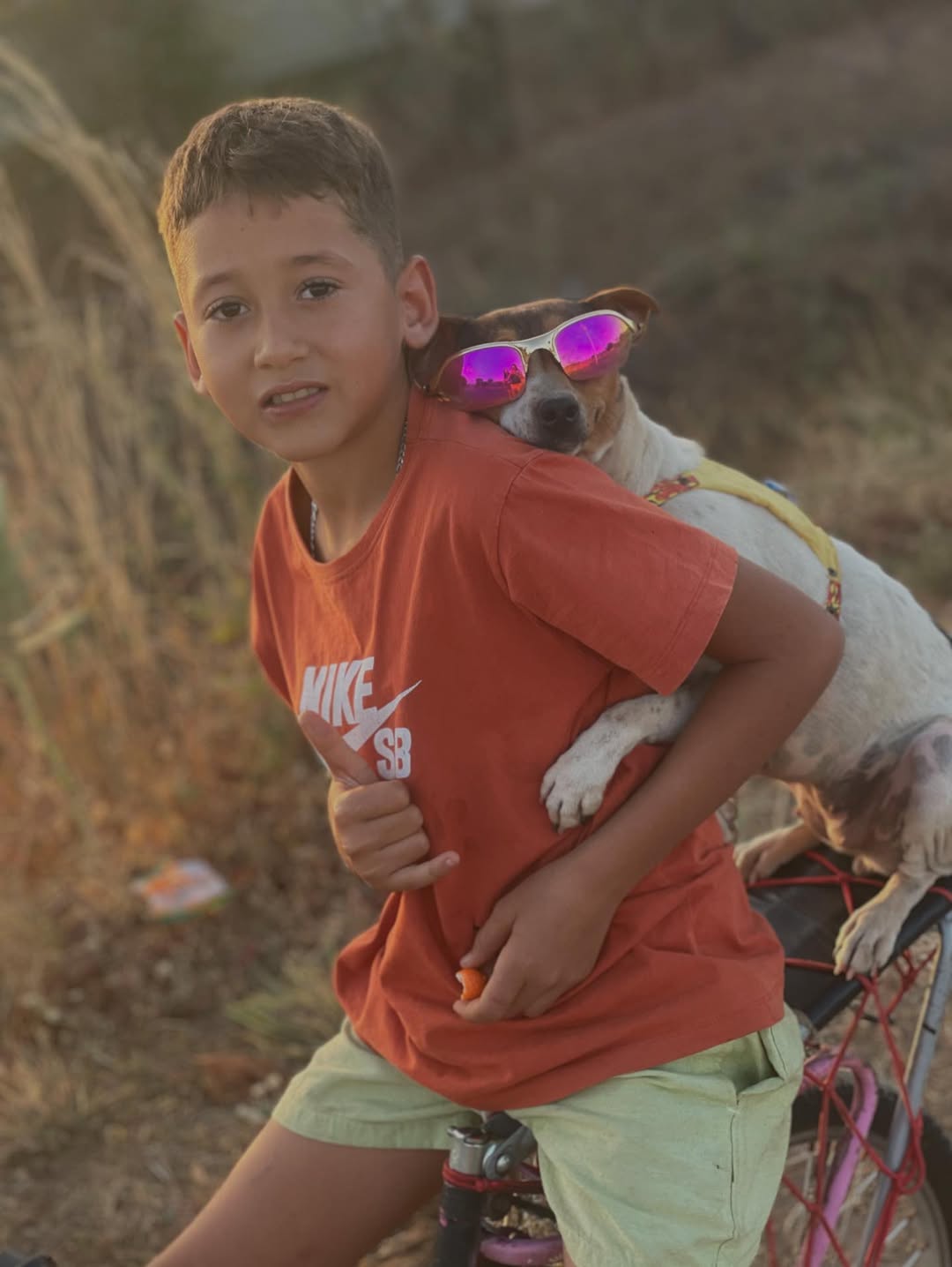 De Combinado para o Brasil: João Lucas e a cachorrinha Mel conquistam milhões na internet