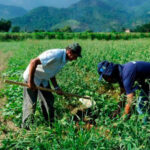 INCRA lança editais para seleção de famílias da reforma agrária no Tocantins