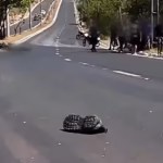 Motociclista morre após bater em poste durante tentativa de ultrapassagem em Palmas