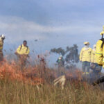 Naturatins reforça atuação prioritária em Unidades de Conservação no combate aos incêndios florestais