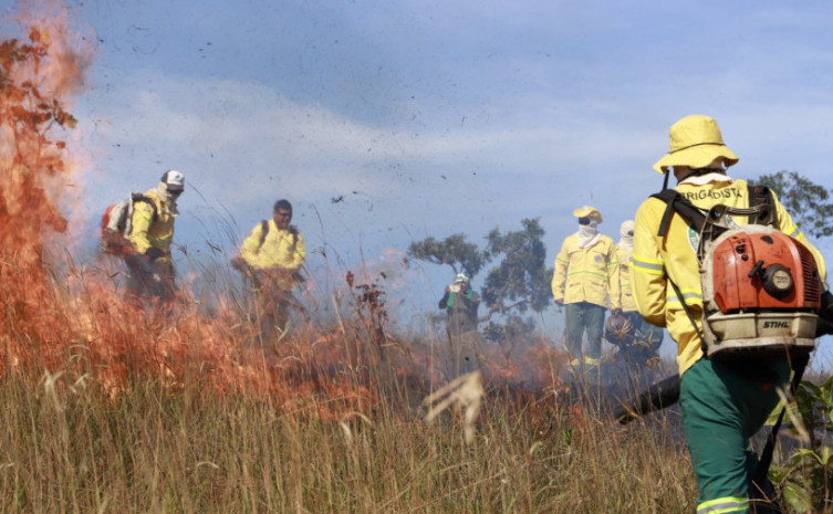 Naturatins reforça atuação prioritária em Unidades de Conservação no combate aos incêndios florestais