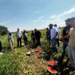 Rota da Fruticultura destaca produção de melancia e tecnologias agrícolas em Porto Nacional