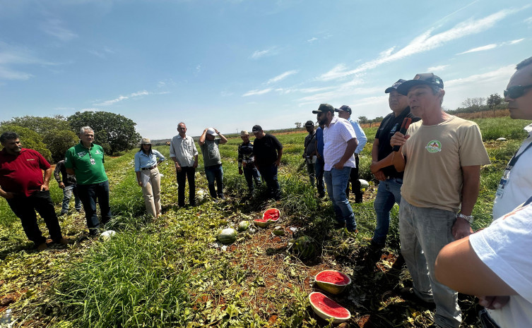 Rota da Fruticultura destaca produção de melancia e tecnologias agrícolas em Porto Nacional