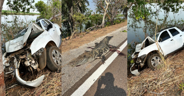 Colisão com jacaré-açu deixa casal de idosos feridos na BR-242 em Formoso do Araguaia