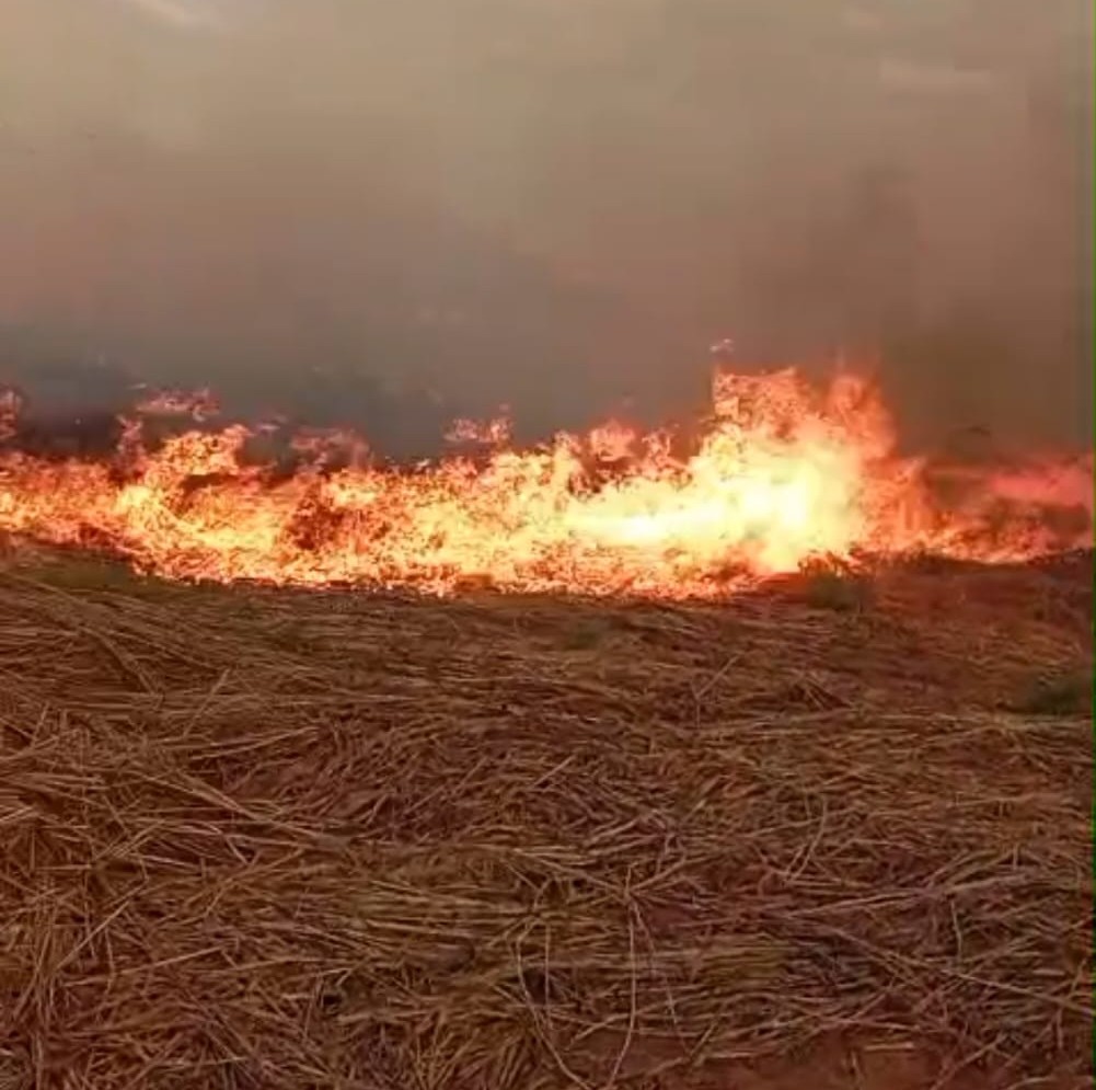 Prefeitura de Paraíso alerta para riscos de queimadas durante a estiagem