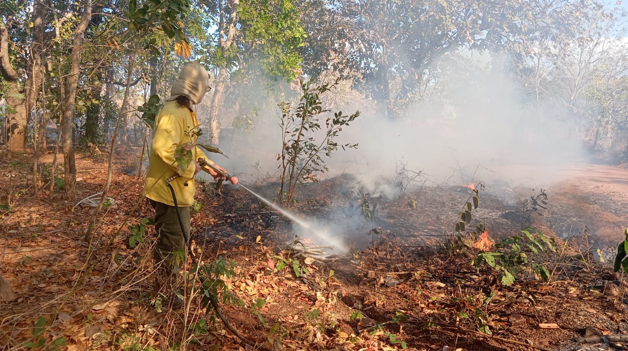 Prefeitura de Paraíso alerta para riscos de queimadas durante a estiagem