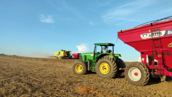Lagoa da Confusão se destaca na colheita recorde de milho safrinha e soja de sementes no Tocantins