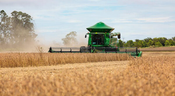 Tocantins enfrenta queda, mas Lagoa da Confusão se destaca no ranking nacional com produção de R$ 1 bilhão em arroz em 2024