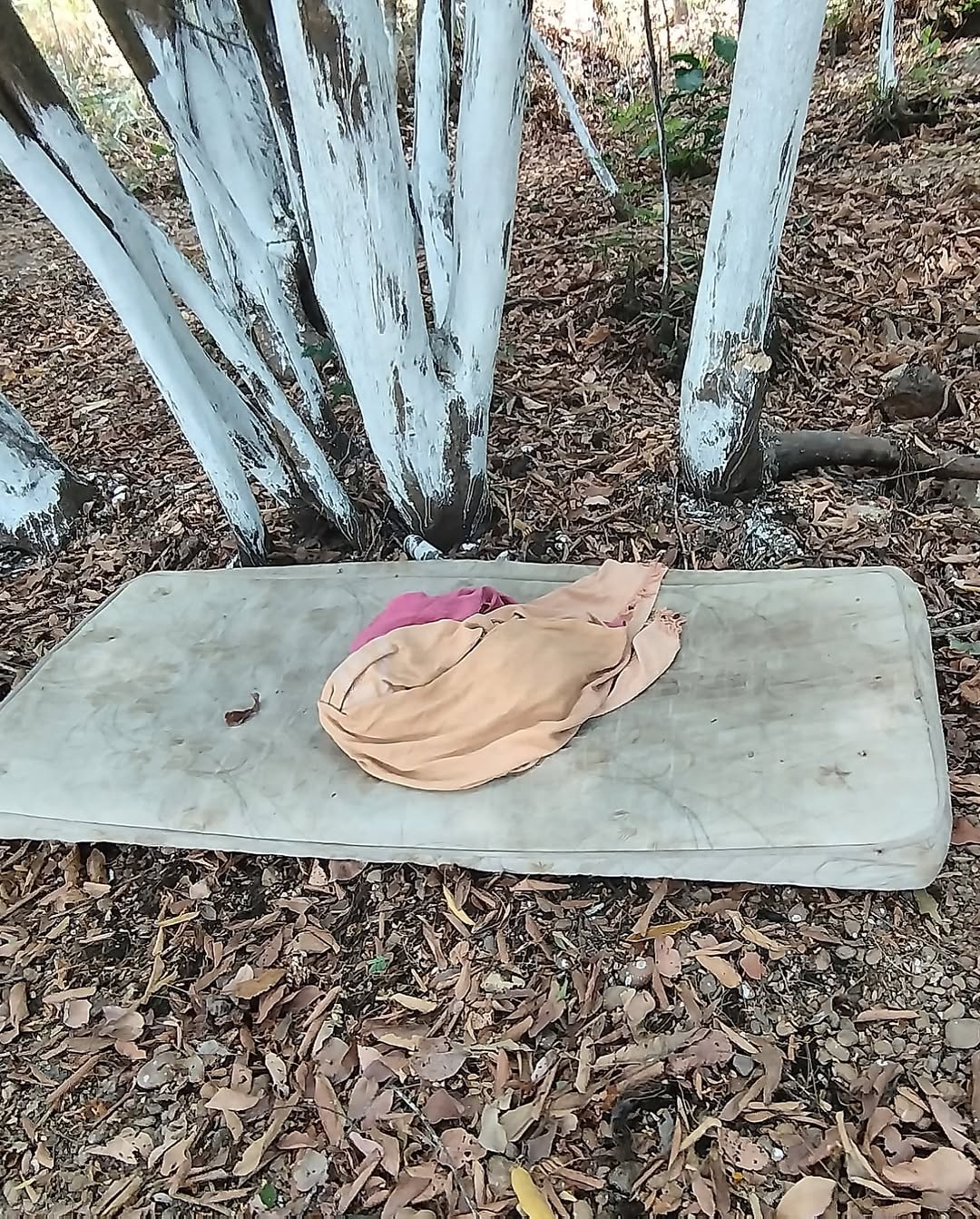 Homem sobrevive após ser baleado treze vezes no tocantins; Autor é preso em flagrante pela polícia militar