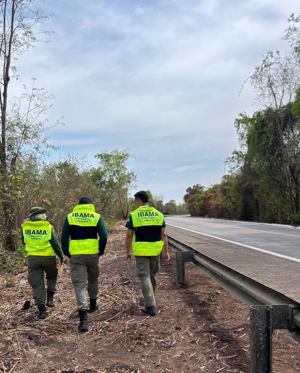 Ibama realiza vistoria preventiva em trechos da BR-153 no Tocantins