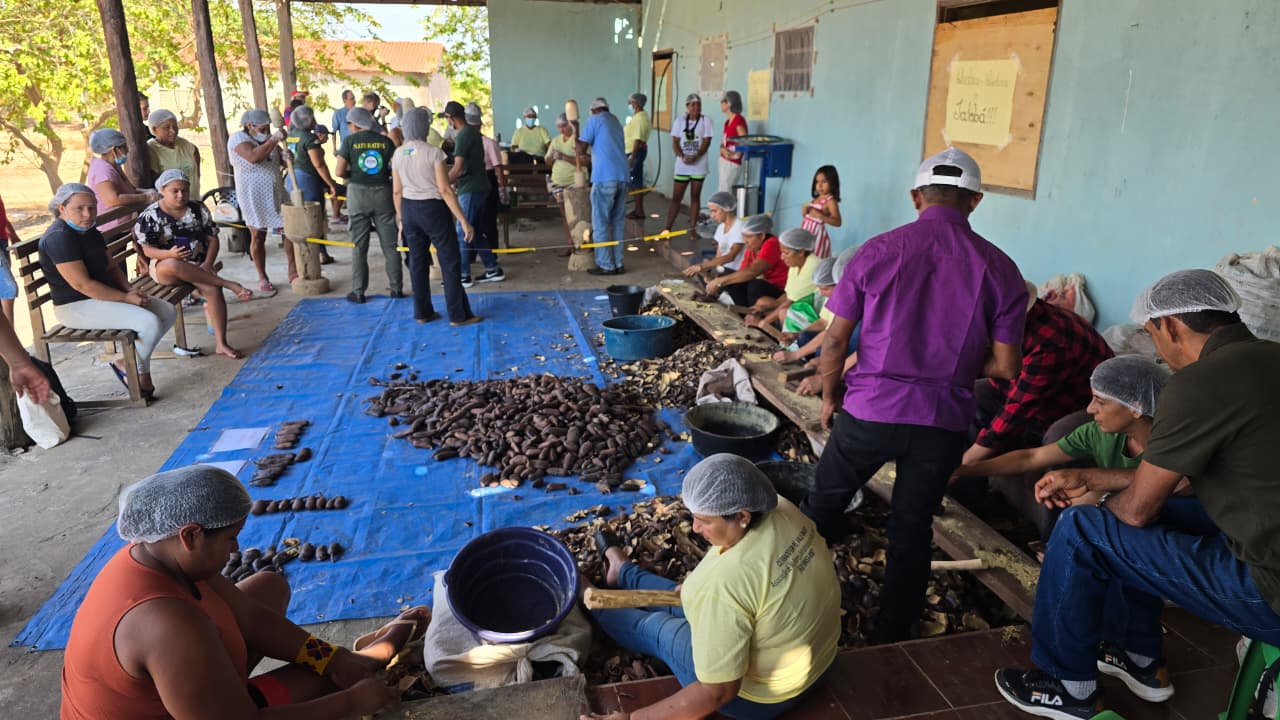 Farinhada de Jatobá em Caseara fortalece a cadeia do fruto e valoriza saberes tradicionais do Cerrado