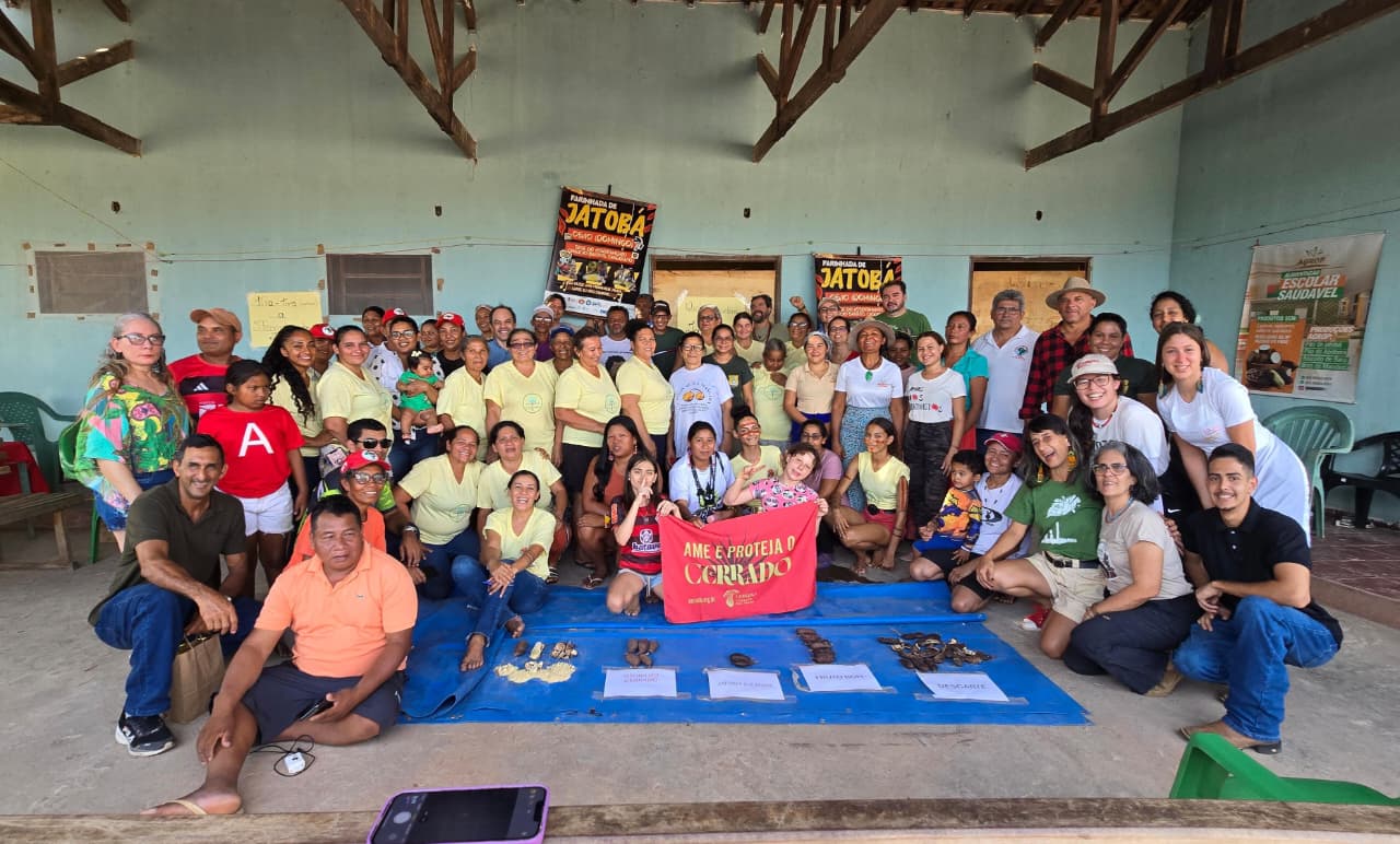 Farinhada de Jatobá em Caseara fortalece a cadeia do fruto e valoriza saberes tradicionais do Cerrado