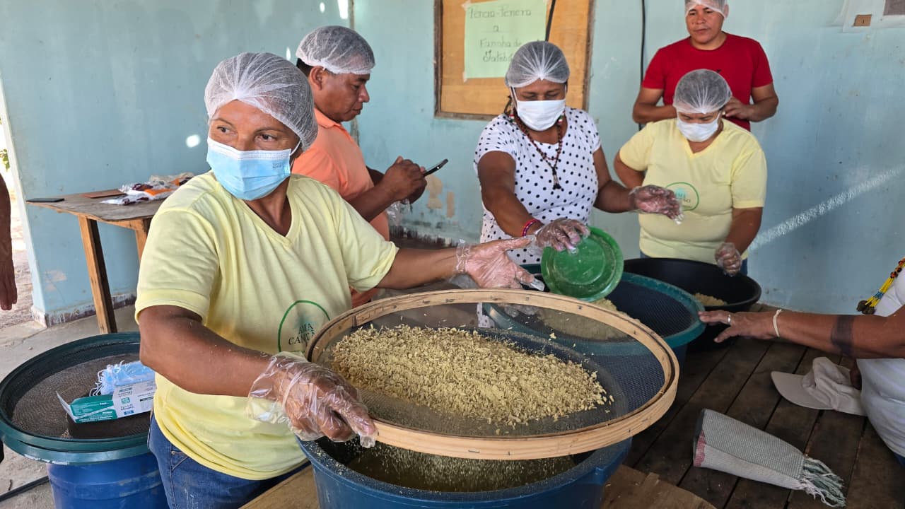 Farinhada de Jatobá em Caseara fortalece a cadeia do fruto e valoriza saberes tradicionais do Cerrado