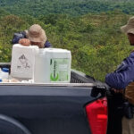 Polícia Militar apreende 380 litros de defensivos agrícolas transportados ilegalmente em Dianópolis