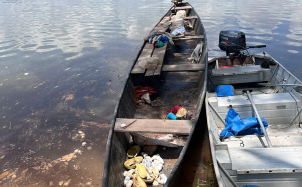 PMTO resgata milhares de tartarugas ameaçadas durante operação ambiental no Rio Javaés