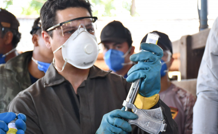 Adapec alerta para prazo final da vacinação contra brucelose no Tocantins