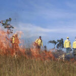 Governo do Tocantins registra queda de quase 31% nas áreas queimadas em Unidades de Conservação em 2025