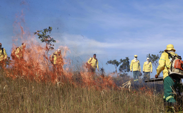 Governo do Tocantins registra queda de quase 31% nas áreas queimadas em Unidades de Conservação em 2025