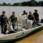 Naturatins apreende redes, arma e pescado durante etapa da Operação Piracema 2025/2026