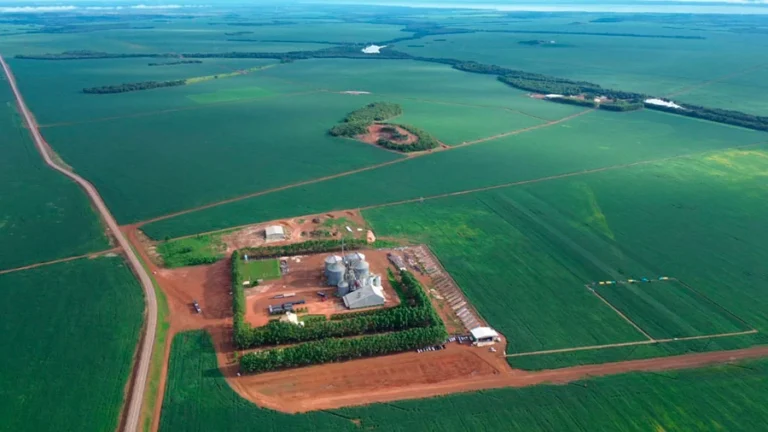 Maurício Buffon lidera Abertura Nacional da Colheita da Soja e destaca força do agro brasileiro no Tocantins