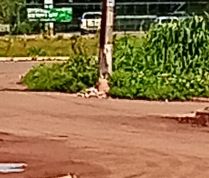 Carreta colide com poste na rotatória de saída de Lagoa da Confusão e estrutura segue com risco de queda; veja o vídeo