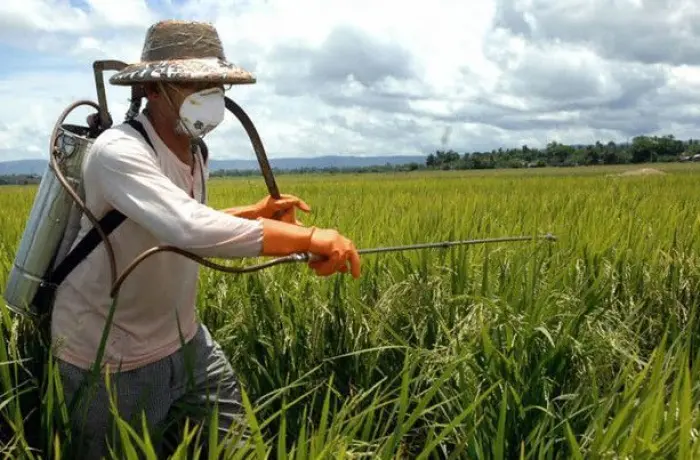 Tocantins monitora exposição a agrotóxicos em apenas sete municípios prioritários, apesar da força do agronegócio