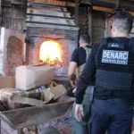 Polícia incinera 4,6 kg de drogas e ‘farinha de bolo’: 'Alguém estava sendo enganado', diz delegado