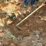 Acusado de matar companheira e enterrar corpo no quintal será julgado por júri popular em Araguaína