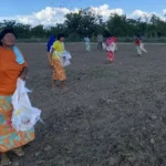 Edital Floresta Viva prorroga inscrições e destina R$ 8,8 milhões para restauração em Terras Indígenas no Tocantins