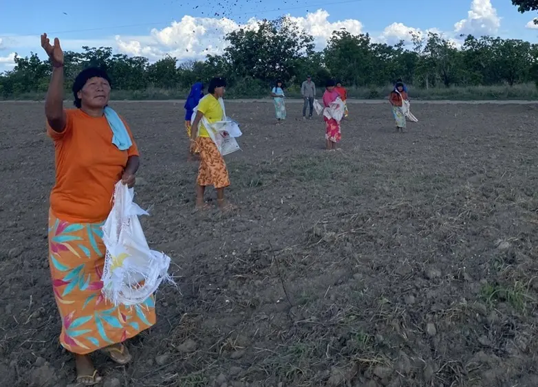 Edital Floresta Viva prorroga inscrições e destina R$ 8,8 milhões para restauração em Terras Indígenas no Tocantins