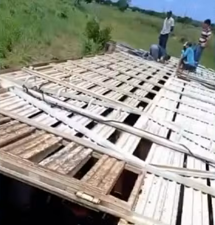 Caminhão com 86 cabeças de gado tomba na TO-222 e seis animais morrem no norte do Tocantins