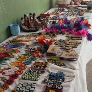 Ação de saúde bucal leva atendimentos e aprendizado à Aldeia São João, em Formoso do Araguaia