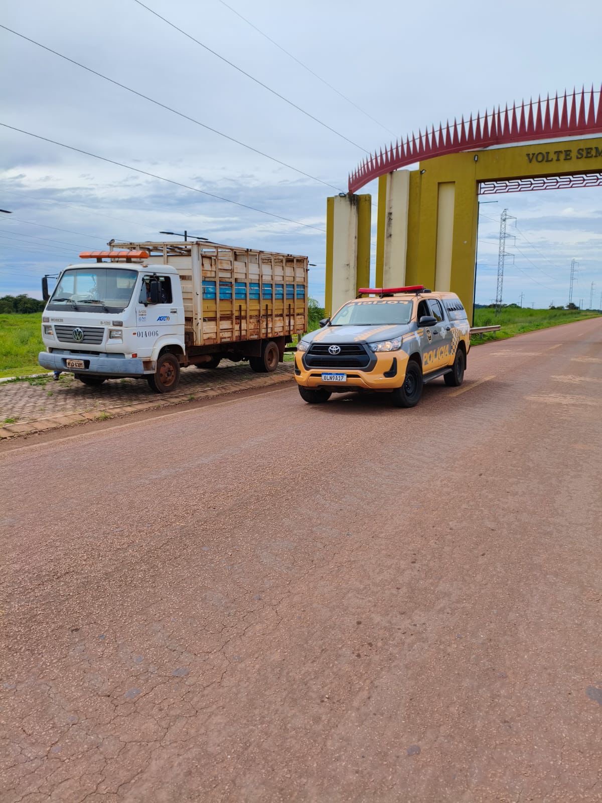 Ação conjunta recolhe animais soltos e reforça segurança em Lagoa da Confusão