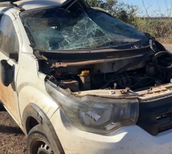 Colisão com animal na BR-242 termina em capotamento e deixa adolescente gravemente ferido em Formoso do Araguaia
