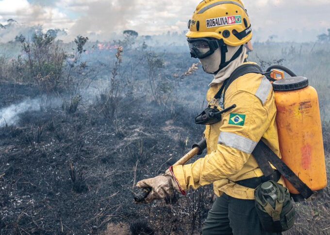 Tocantins abre inscrições para brigadistas florestais voluntários com 112 vagas imediatas