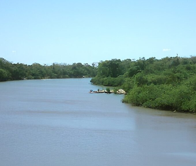 Justiça anula autorizações do Naturatins para transferência de Reserva Legal e retirada de vegetação na Bacia do Rio Formoso