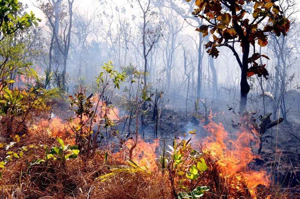 Ibama notifica 699 imóveis rurais no Tocantins para prevenção de incêndios florestais