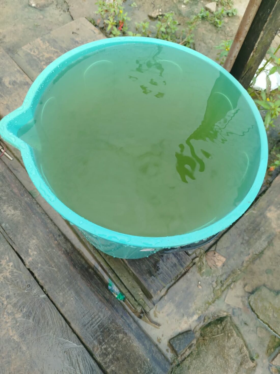 URGENTE: Água com presença de E. coli é identificada em aldeia indígena Kurehê, em Santa Fé do Araguaia
