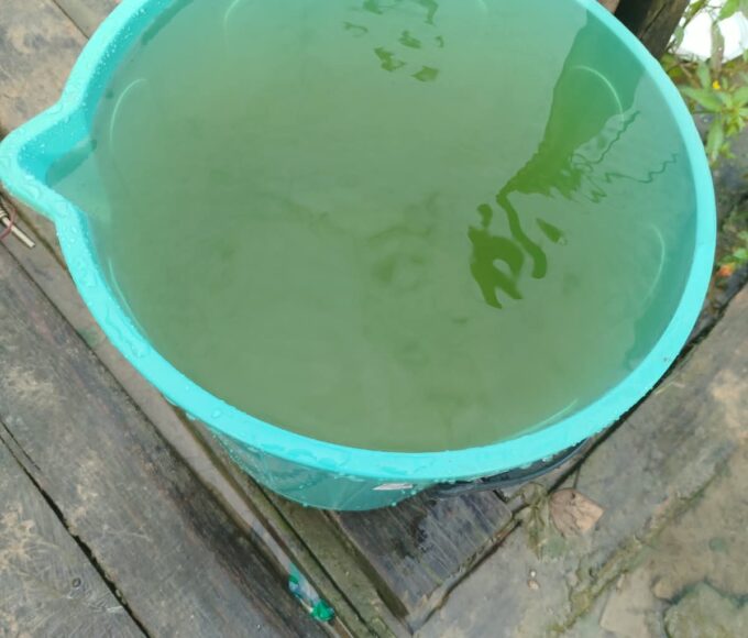 URGENTE: Água com presença de E. coli é identificada em aldeia indígena Kurehê, em Santa Fé do Araguaia